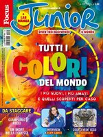 Focus Junior